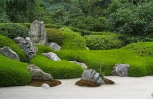 Membuat Taman Depan Rumah Minimalis