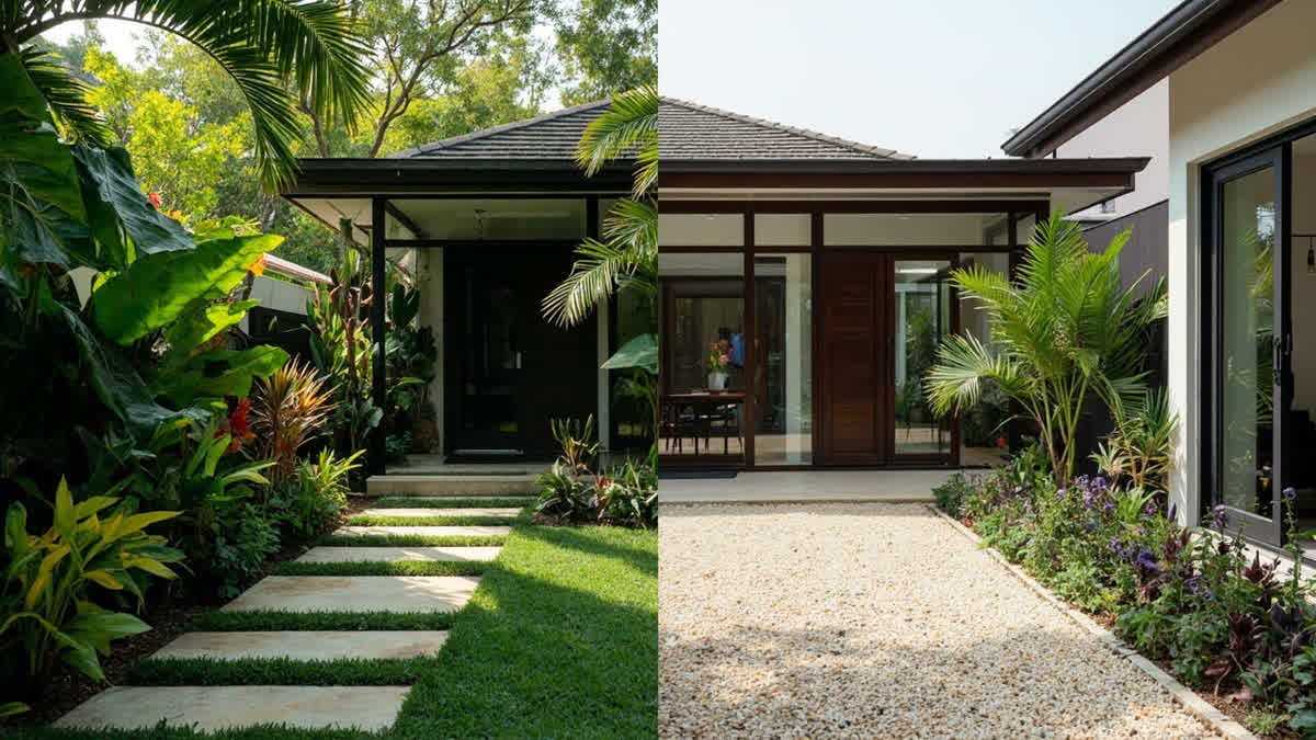 Taman Tropis vs Taman Kering: Perbandingan Lengkap untuk Rumah Indonesia